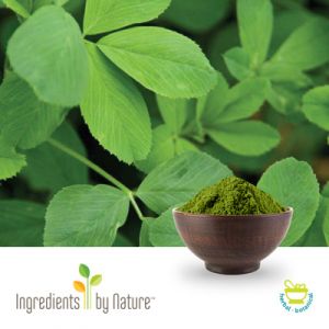Alfapure™ Alfalfa Juice Concentrate by Ingredients by Nature