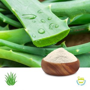 Aloe Vera P.E. 200:1 by Terry Lab