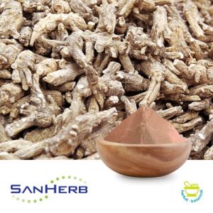 American Ginseng Root Extract 5% Ginsenoside HPLC by SanHerb