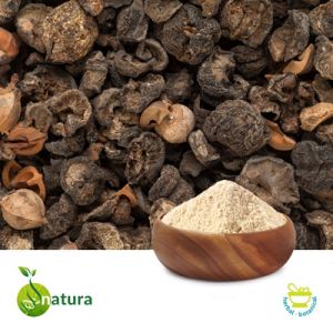 Amla Extract 40% Tannins by Natura Biotechnol