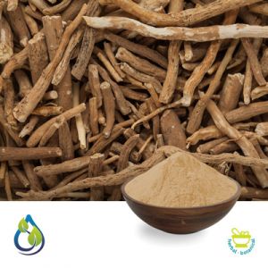 Ashwagandha Root Extract  2.5% by S.A. Herbal Bioactives
