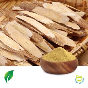 Astragalus P.E. 50% Polysaccharides by Sunnycare