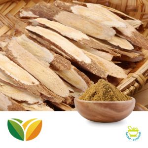Astragalus 10:1 Extract by Tianhua Pharmaceutical