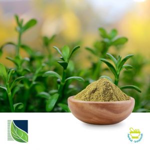 Bacopa Monnieri Extract 50% USP by Botanic Healthcare