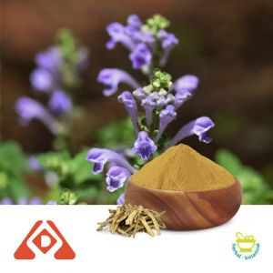 Baicalin Extract 10:1 TLC by Hongda