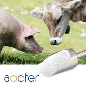 Betaine HCl 95% Feed Grade by Aocter