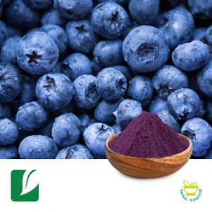 Bilberry Extract 25% Anthocyanins by Longze Biotechnology
