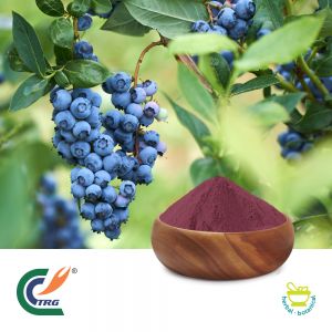 Blueberry Extract 10:1 by TRG