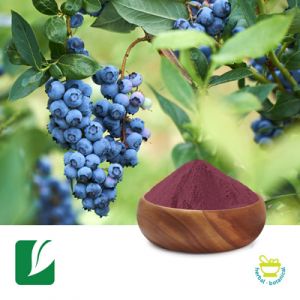 Blueberry Fruit Powder by Longze Biotechnology