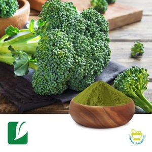 Broccoli Juice Powder by Longze Biotechnology