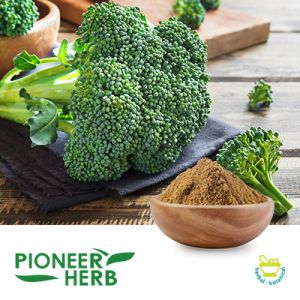 Broccoli Powder by Pioneer Herb