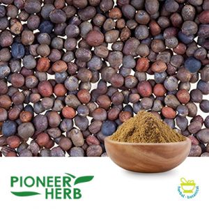 Glucoraphanin 13% Powder by Pioneer Herb