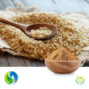 Brown Rice Protein 80% 300 Mesh by Panjin Hetian Food