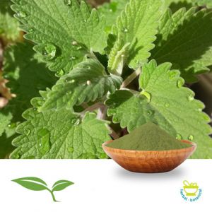 Catnip Herb Powder (Wildcrafted) by American Botanicals