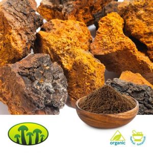 Organic Chaga Extract 8:1 by Biosan