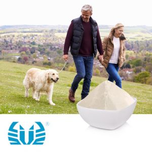 Chitosan 90-95% by Golden-Shell Pharmaceutical