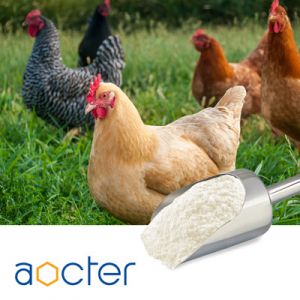 Choline Chloride 50% Silica by Aocter