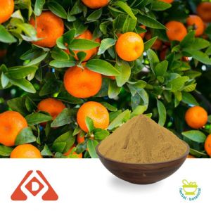 Citrus P.E. Citrus Flavonoids 5% by Hongda
