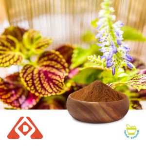 Coleus forskohlii Extract 4:1 by Hongda