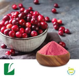 Cranberry Extract 4:1 by Longze Biotechnology