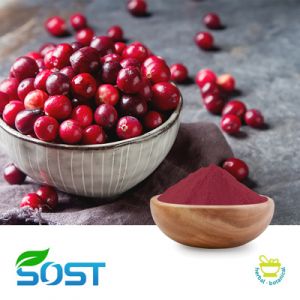Cranberry Powder by SOST