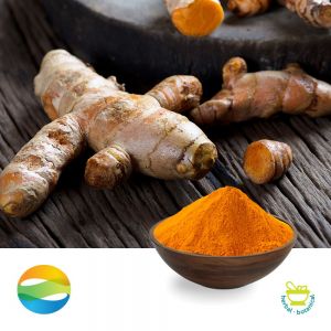 Turmeric Extract Curcumin 95% HPLC Regular by CCGB