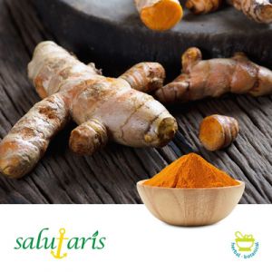 Curcumin 95% extract powder by Salutaris