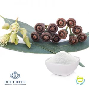 Eucalyptus Globus Essential Oil Powder by Robertet