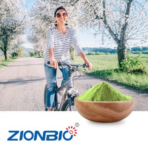 Euglena Powder by ZionBio