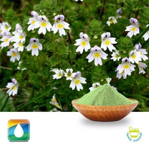 Eyebright Extract 4:1 by Monteloeder