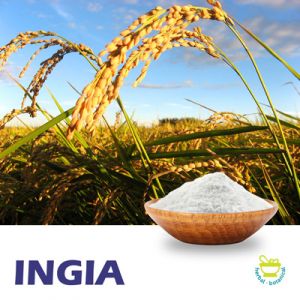 Ferulic Acid 98% by Ingia