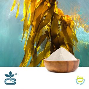 Fucoidan 75% by Cactus Botanics
