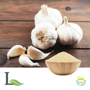 Garlic Powder by Lulin