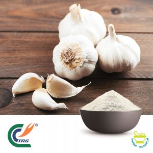 (Deodorized) Garlic Extract 1% Allicin  (10,000 ppm) STOREFRONT by TRG