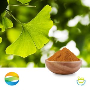 Ginkgo Biloba Extract 24/6 by CCGB