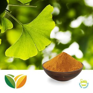 Ginkgo Biloba Leaf Extract USP39 by Tianhua Pharmaceutical