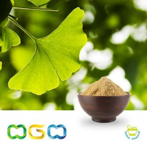 Ginkgo Biloba Extract by Herb Green Health