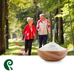 Glucosamine Sulfate 2NaCl 80 Mesh by Rixing