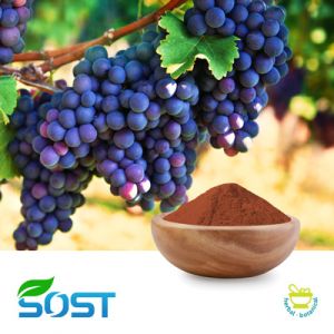 Grape Seed Extract 95% by SOST