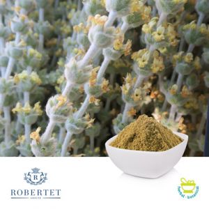 Greek Mountain Tea 6-10% Polyphenols by Robertet