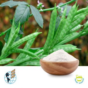 Guar Gum Powder 235F by Neelkanth Polymers