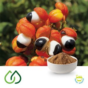 Guarana Dry Extract 22% by Plantex