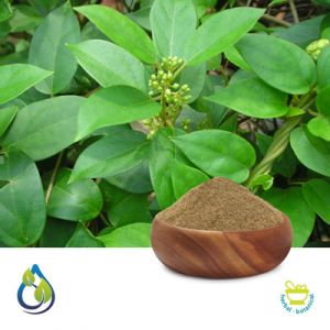 Gymnema Sylvestre P.E. 25% Gymnemic Acid By Gravimetry by S.A. Herbal Bioactives