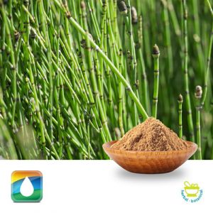 Horsetail Extract 7% Silica (UV) by Monteloeder