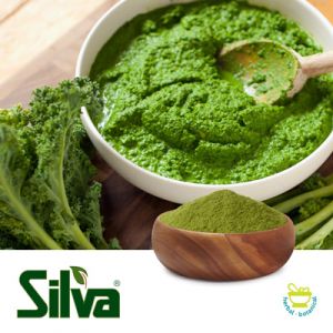 Kale Powder by Silva International