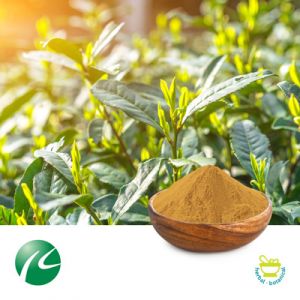 L-Theanine 20% (Green Tea Extract) by Hunan Huakang