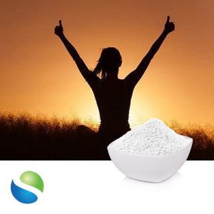 L-Tyrosine Granular by Shuguang Biochem