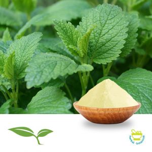 Lemon Balm Herb Powder by American Botanicals