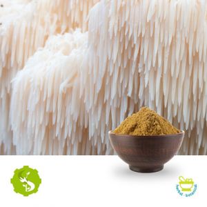 Lion's Mane Mushroom Powder by Hunan Essence