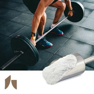 L-Lysine Mono HCl Powder by Daesang 